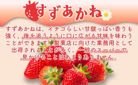 北海道産 ストロベリー ミルク プリン 10個 森のおくりもの プリン いちご イチゴ 苺 ストロベリー 牧家 Bocca だて牛乳 ミルク 牛乳 すずあかね お菓子 おやつ スイーツ デザート いちごみるく 規格外 常温 送料無料