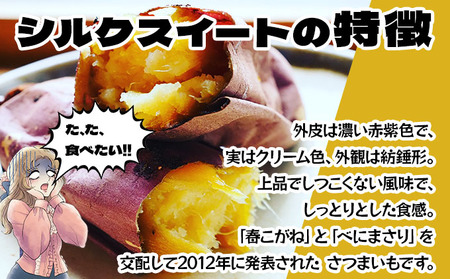 【2025年12月以降配送】北海道 伊達 さつまいも シルクスイート 5kg 熟成 高糖度 サツマイモ 芋 甘い スイートヤバ芋 産地直送