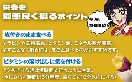 【2025年12月以降配送】北海道 伊達 さつまいも シルクスイート 5kg 熟成 高糖度 サツマイモ 芋 甘い スイートヤバ芋 産地直送