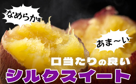 【2025年12月以降配送】北海道 伊達 さつまいも シルクスイート 10kg 熟成 高糖度 サツマイモ 芋 甘い スイートヤバ芋 産地直送