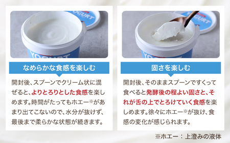 北海道 牧家 Bocca ヨーグルト 500g 3個 計1.5kg 生乳 ミルク 練乳 濃厚 デザート スイーツ おやつ 乳製品 冷蔵 