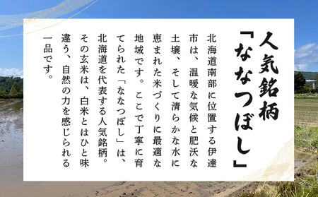 【定期便】令和7年産 北海道伊達市産 ななつぼし 玄米 5kg×3回【2025年10月1日発送開始】