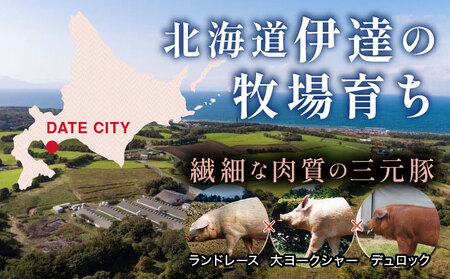 北海道 豚ひき肉 普通挽き 200g 30パック 計6kg【ooy-006】