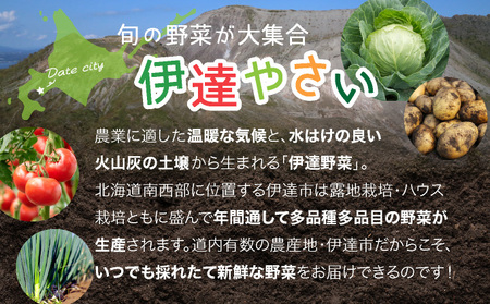 【2026年発送】【先行予約】 北海道 伊達市 産直・旬のおまかせ野菜詰合せ 9?10種 dnk-001