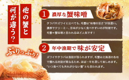 【ふるなびWEEK対象】毛ガニ（姿身）Mサイズ 1尾 ogm-015 FN-Limited-WE