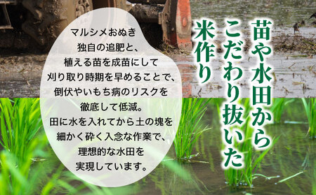 ◆R7年産◆ JGAP認証【おぬきさん家のゆめぴりか】2kg [ 3ヶ月定期便 ] ≪北海道伊達産≫ maru-004