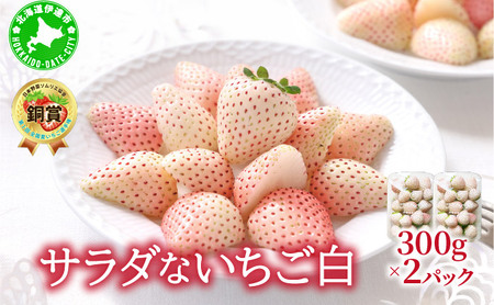 ＜2026年先行予約＞ サラダないちご（白）【ecg-001】 6,930円