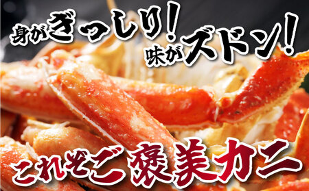 オオズワイ姿(訳あり品)5kg|かに カニ ズワイガニ オオズワイ【ysk-003】