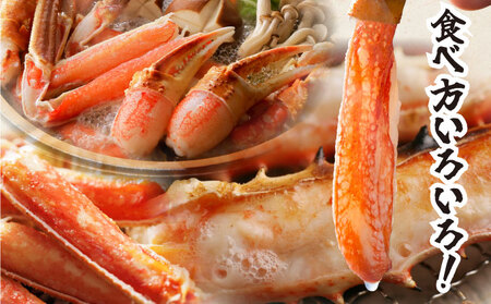 オオズワイ姿(訳あり品)5kg|かに カニ ズワイガニ オオズワイ【ysk-003】