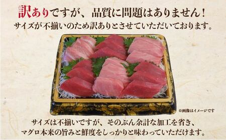 北海道産本マグロ（大トロ・中トロ・赤身）訳ありセット 1kg【ogm-025】