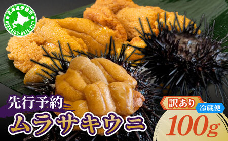 <先行予約> 北海道産 ムラサキウニ(訳あり)【ogm-028】うに 海鮮 訳あり 国産 北海道 伊達 ふるさと納税