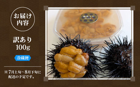 <先行予約> 北海道産 ムラサキウニ(訳あり)【ogm-028】うに 海鮮 訳あり 国産 北海道 伊達 ふるさと納税