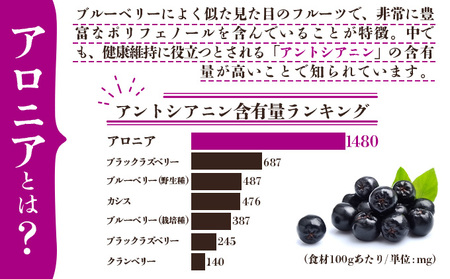 北海道 アロニア果汁 1000ml 1本 伊達大滝産 アロニア 果汁 ジュース ソース スムージー ジャム 果実飲料 飲料 飲み物 フルーツ おやつ デザート 土産 贈答用 ギフト プレゼント お取り寄せ 送料無料