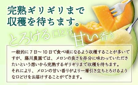 【2026年先行予約】北海道産 有珠メロン 2玉 セット 青肉 Lサイズ 1.6kg以上×2玉 ツル付き グリーンメロン 果物 めろん フルーツ くだもの 完熟 旬 ご褒美 ギフト お祝い 産地直送 お取り寄せ 北海道 藤川農園 送料無料 伊達