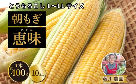 北海道産 朝もぎ とうもろこし 恵味 L-LLサイズ 約400g×10本 スイートコーン ゴールドコーン トウモロコシ とうきび コーン 旬 完熟 野菜 甘い おやつ 産地直送 お取り寄せ 北海道 藤川農園 送料無料 伊達