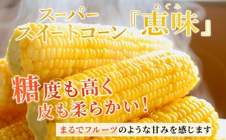 北海道産 朝もぎ とうもろこし 恵味 L-LLサイズ 約400g×10本 スイートコーン ゴールドコーン トウモロコシ とうきび コーン 旬 完熟 野菜 甘い おやつ 産地直送 お取り寄せ 北海道 藤川農園 送料無料 伊達