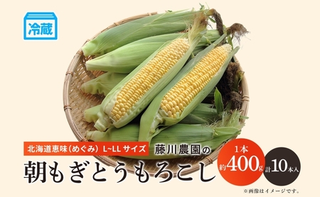 北海道産 朝もぎ とうもろこし 恵味 L-LLサイズ 約400g×10本 スイートコーン ゴールドコーン トウモロコシ とうきび コーン 旬 完熟 野菜 甘い おやつ 産地直送 お取り寄せ 北海道 藤川農園 送料無料 伊達