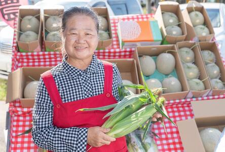 北海道伊達【藤川農園】黄色とうきびL-LL「恵味」20本