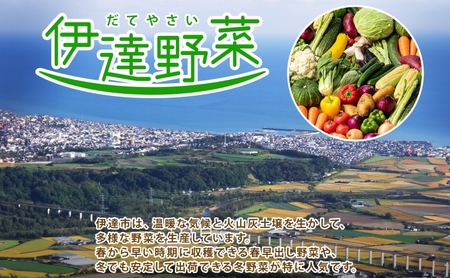 北海道 ダークホース かぼちゃ 5玉～7玉 約10kg カボチャ 南瓜 伊達野菜 産地直送 新鮮 採れたて 甘い ホクホク 煮物 天ぷら スープ プリン 詰め合わせ セット 木須農園 送料無料