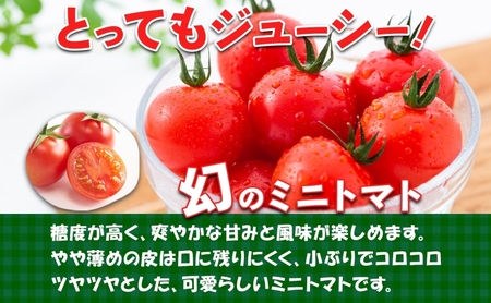 北海道 伊達 大滝農園 ミニトマト 幻の 高糖度 フルーツ ネネ 約3kg トマト フルーツトマト ジューシー 甘い 濃厚