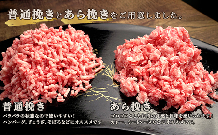 北海道 豚ひき肉 普通挽き あら挽き 200g 11パック 計2.2kg 伊達産 黄金豚 三元豚 ミンチ 挽肉 お肉 小分け ハンバーグ 餃子 カレー 大矢 オオヤミート 冷凍 送料無料 普通挽き