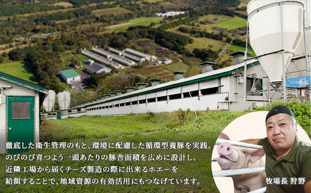 2ヶ月に1回お届け＞伊達産黄金豚挽肉（普通挽き）2.2kg | 北海道伊達市