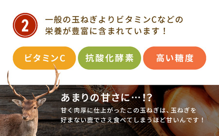 ※ チャリティー返礼品 ※ 伊達産【えったま333】の炒め玉ねぎ ソテードオニオン 200g×10袋(レトルト)