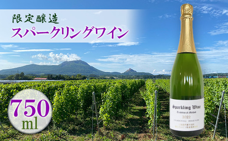 スパークリングワイン 2021 限定醸造 北海道 伊達市産ぶどう使用 ぶどう フレッシュ フルーティー シャープ