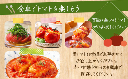 ◆2026年7月から順次出荷◆ farmユメソラ 大玉 トマト 約4kg【famy-001】