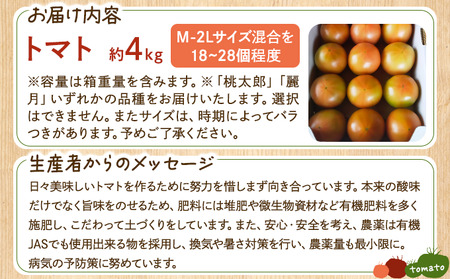 ◆2026年7月から順次出荷◆ farmユメソラ 大玉 トマト 約4kg【famy-001】