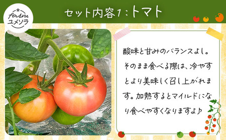 ◆2026年7月から順次出荷◆ farmユメソラ 大玉トマト＆玉ねぎセット 約5kg [famy-003]