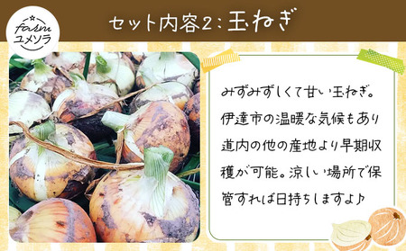 ◆2026年7月から順次出荷◆ farmユメソラ 大玉トマト＆玉ねぎセット 約5kg [famy-003]