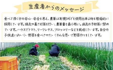 ◆2026年7月から順次出荷◆ farmユメソラ 大玉トマト＆玉ねぎセット 約5kg [famy-003]