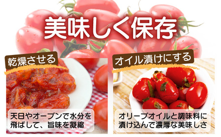 【2026年先行予約】北海道 伊達 岡本園芸 ミニトマト 高糖度 約4kg【マジウマ!トマト】