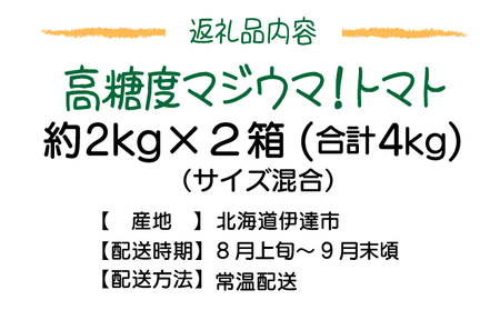 【2026年先行予約】北海道 伊達 岡本園芸 ミニトマト 高糖度 約4kg【マジウマ!トマト】