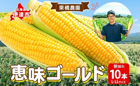 先行予約 【 2025年 発送 】北海道 朝もぎ とうもろこし 恵味 ゴールド L-LLサイズ 10本 スイート コーン トウモロコシ とうきび 旬 完熟 野菜 採れたて 朝採り 甘い めぐみ 産地直送 道産 送料無料