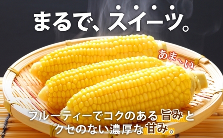 先行予約 【 2025年 発送 】北海道 朝もぎ とうもろこし 恵味 ゴールド L-LLサイズ 10本 スイート コーン トウモロコシ とうきび 旬 完熟 野菜 採れたて 朝採り 甘い めぐみ 産地直送 道産 送料無料