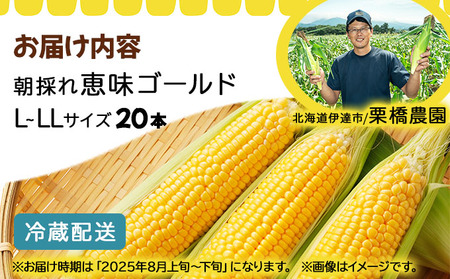 先行予約 【 2025年 発送 】北海道 朝もぎ とうもろこし 恵味 先行予約 【 2025年 発送 】北海道 朝もぎ とうもろこし 恵味