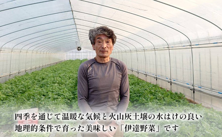 【人気SALE限定】2023年 北海道 で収穫した 松の実2kg 野菜