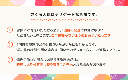 先行予約 加温さくらんぼ 佐藤錦 令和8年産 ns-sntdp200