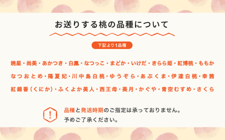 もも 桃 品種おまかせ 約3kg 令和6年産 2024年産 山形県産 果物 mm-moomx3000 ※沖縄・離島への配送不可