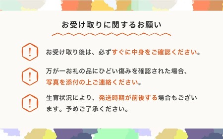 【先行予約】すいか ブラックジャック 1玉  約5~7kg 令和8年産 2026年産 果物 no-subjc1 ※沖縄・離島への配送不可