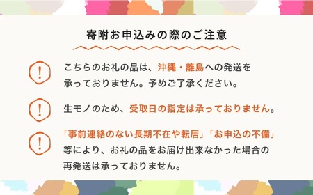 【先行予約】すいか 2色の小玉すいか 令和8年産 2026年産 果物 no-suwck2 ※沖縄・離島への配送不可