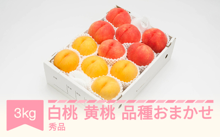 先行予約 白桃＆有袋黄桃 秀品 品種おまかせ 化粧箱入り 約3kg 令和八年産 2026年産 山形県産 果物 フルーツ 桃 送料無料 ns-mohot3
