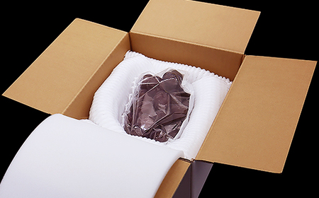 【先行予約】ブラックシャインマスカット ぶどう 約700g 1房 令和8年産 2026年産 果物 ※沖縄・離島への配送不可 mm-bufkx700