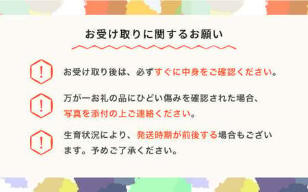 【先行予約】さくらんぼ 佐藤錦 秀 2L・L混合サイズ バラ詰 500g 令和8年産 2026年産 山形県産 フルーツ 果物 くだもの サクランボ ※沖縄・離島への配送不可 sb-snbsx500