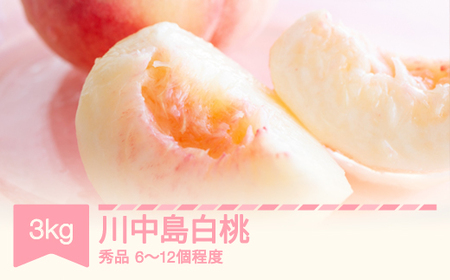 【先行予約】桃 川中島 秀品 約3kg (6~12個程度) 令和8年産 2026年産 山形県産 フルーツ 果物 くだもの もも モモ ※沖縄・離島への配送不可 sb-moknx3
