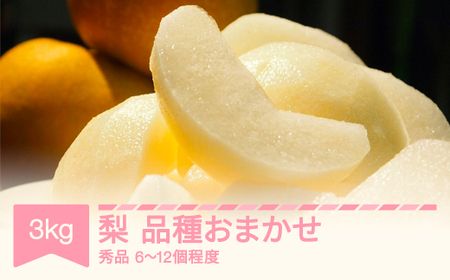 【先行予約】梨 品種おまかせ 秀品 約3kg (6~12個程度) 山形県産 令和8年産 2026年産 フルーツ 果物 ※沖縄・離島への配送不可 sb-nahkx3