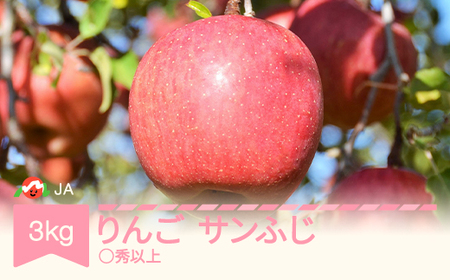 【先行予約】りんご サンふじ  約3kg ◯秀以上 2026年産 令和8年産 ※沖縄・離島への配送不可 ja-risfm3