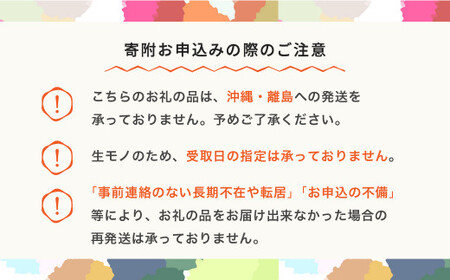 【先行予約】りんご サンふじ  約3kg ◯秀以上 2026年産 令和8年産 ※沖縄・離島への配送不可 ja-risfm3